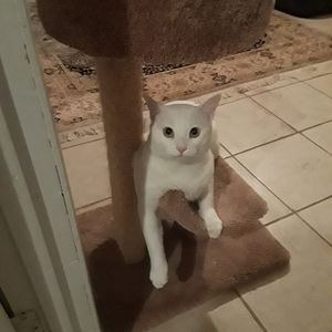 Meet your Posher, Edith